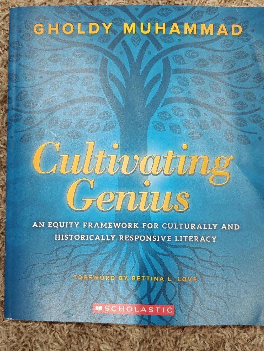 3 Education Books — Cultivating Genius, Raising A RockStar Reader, Game Changer!